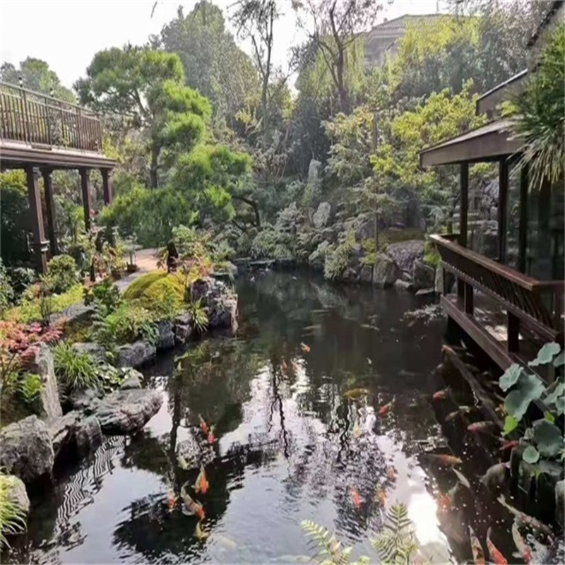 海东小庭院假山鱼池